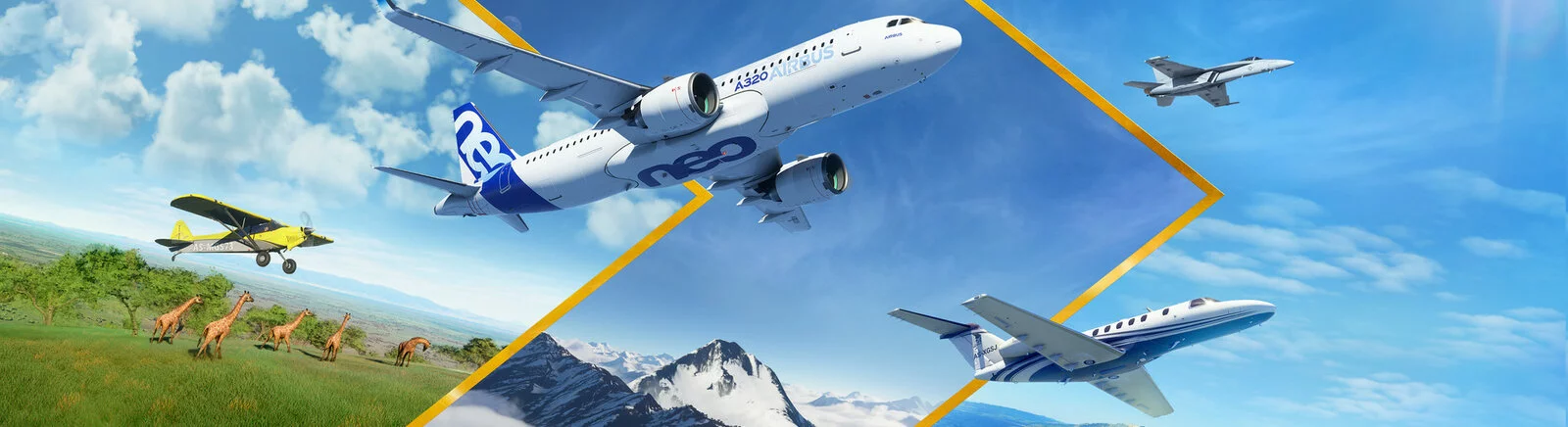 Дата выхода Microsoft Flight Simulator (1986) в разных странах мира