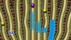 Splash - дата выхода для PC