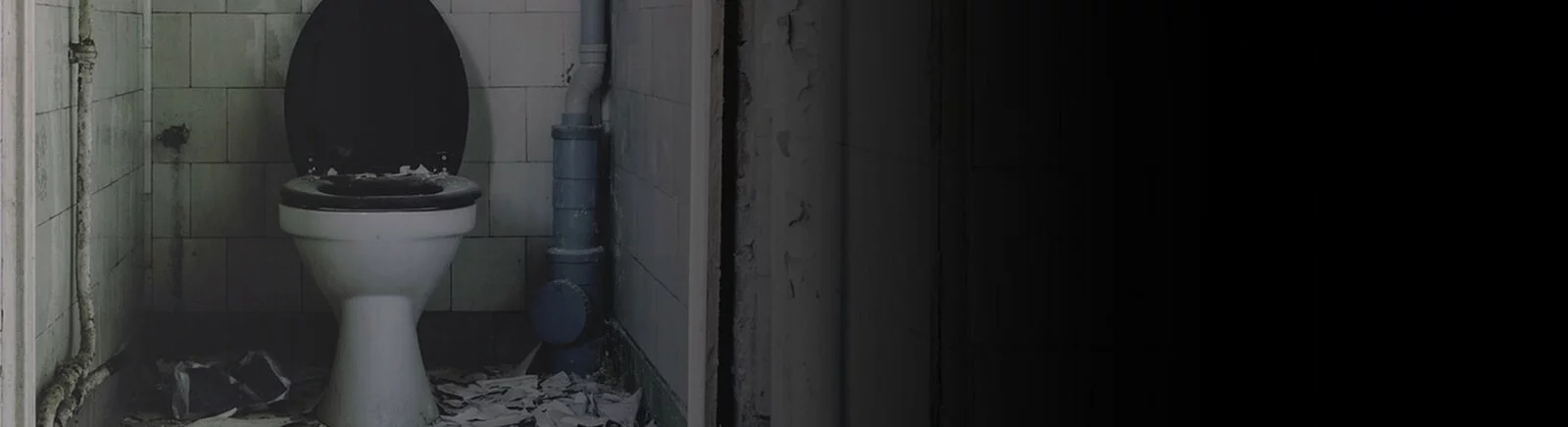 Toilet Tycoon - что это за игра, трейлер, системные требования, отзывы и оценки, цены и скидки, гайды и прохождение, похожие игры 