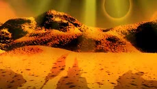 WarBreeds - дата выхода для PC