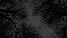 Witch Hunt - дата выхода для Xbox 360