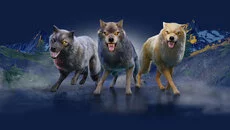 Wolf - дата выхода для DOS