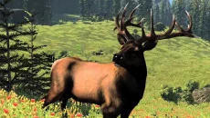 Cabela's North American Adventures - дата выхода для Xbox