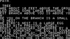 Zork: The Great Underground Empire - дата выхода для PC-98