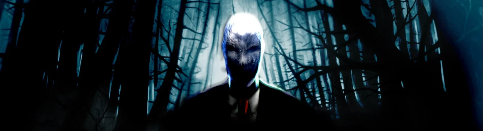 Лучшие игры для Wii, похожие на Slender: The Arrival