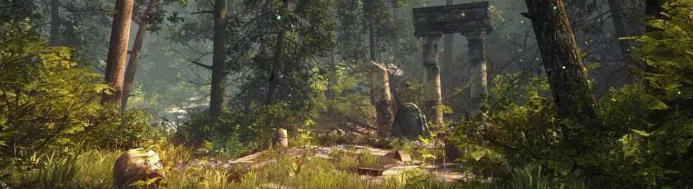 Купить The Forest дешево, скидки до 90% 🏷️, сравнение цен в разных магазинах