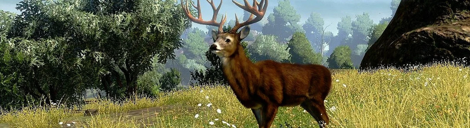 Все отзывы и оценки Cabela's Outdoor Adventures — 0 мнений