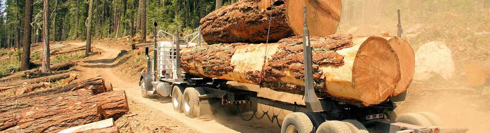 Woodcutter Simulator 2013 - что это за игра, трейлер, системные требования, отзывы и оценки, цены и скидки, гайды и прохождение, похожие игры 