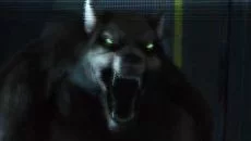 Infinity Runner - дата выхода для Mac