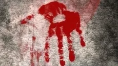 How to Survive похожа на How to Survive