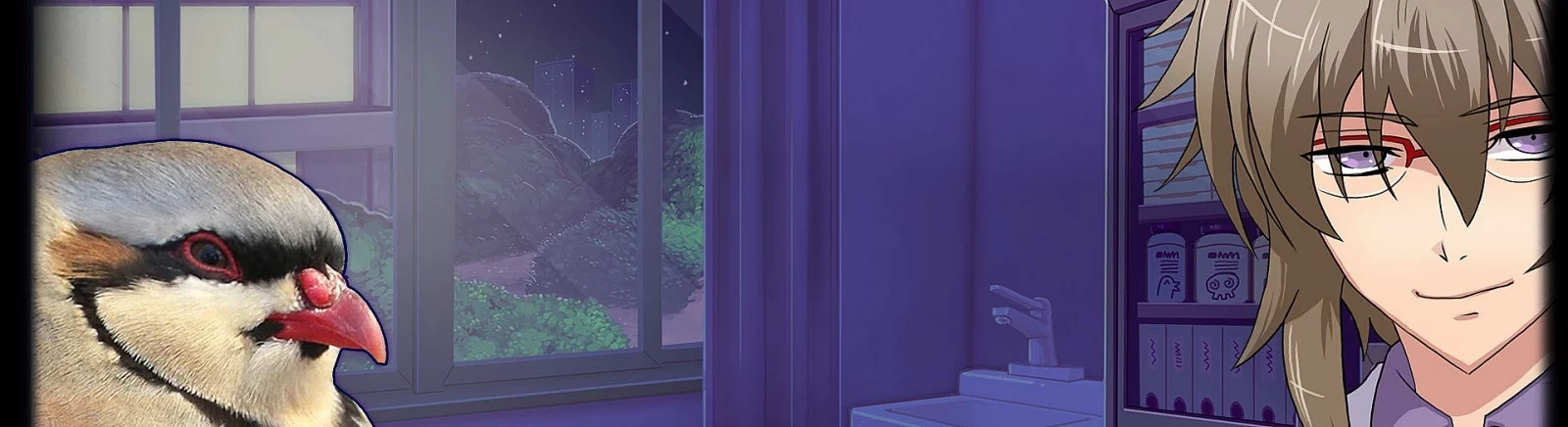 Все отзывы и оценки Hatoful Boyfriend — 0 мнений