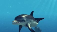 Depth Hunter 2: Deep Dive - дата выхода для iOS