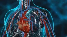 Bio Inc. - дата выхода для iOS