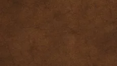 Gold Rush! Anniversary - дата выхода для Mac