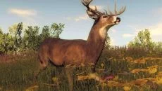 theHunter: Primal похожа на theHunter: Primal