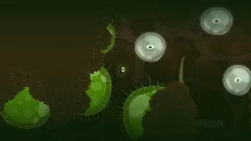 Ecotone - дата выхода для Mac