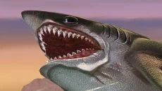 Hungry Shark World - дата выхода для iOS