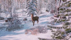 Bottle - дата выхода