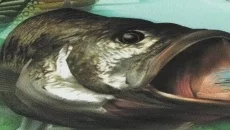 Action Bass - дата выхода для PlayStation