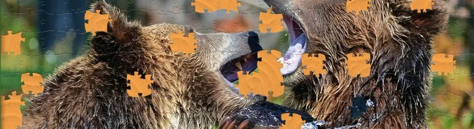 Pixel Puzzles Ultimate - что это за игра, трейлер, системные требования, отзывы и оценки, цены и скидки, гайды и прохождение, похожие игры 