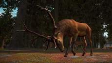 Yore VR - дата выхода