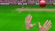 New Star Cricket - дата выхода для iOS