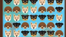 Puppy Playmate Match 3 - дата выхода для iOS