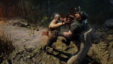 Lost Ark похожа на Lost Ark