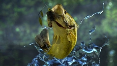 Fishing Planet - дата выхода для Mac