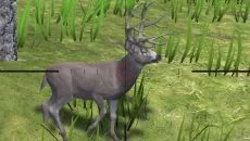 Deer Hunter Reloaded - дата выхода для Xbox One