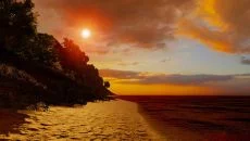 Fortnite похожа на Fortnite