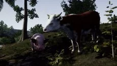 The Forest похожа на The Forest