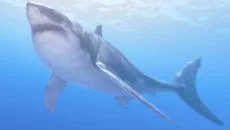 The Solus Project похожа на The Solus Project