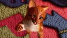 Max and Maya: Cat simulator - игра в жанре Экшен