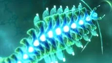 Sparkle 3 Genesis - дата выхода для Mac