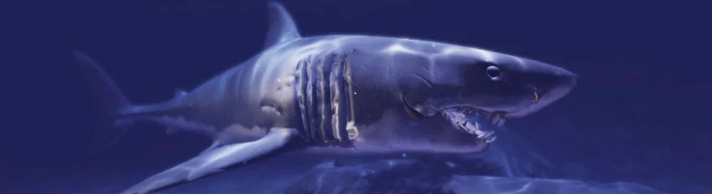 Лучшие игры, похожие на Daemonical