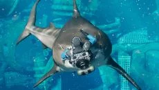 Fortnite Mobile похожа на Fortnite Mobile