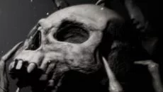 Agony UNRATED похожа на Agony UNRATED