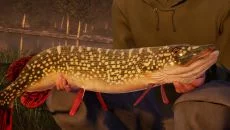 Fishing Sim World: Pro Tour - дата выхода для PlayStation 4