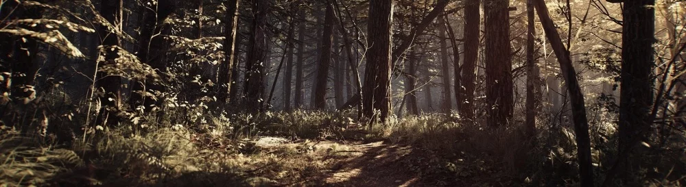 Видео из Blair Witch - трейлеры, геймплей