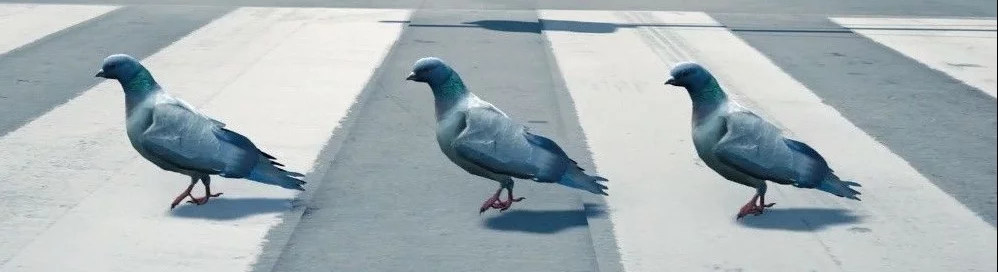 Дата выхода Pigeon Simulator в разных странах мира