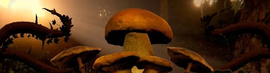 Mushrooms: Forest Walker - что это за игра, когда выйдет, трейлер и видео, системные требования, картинки, цена, похожие игры 