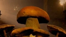 Mushrooms: Forest Walker - дата выхода для PC