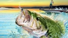 Bass Pro Shops: The Strike - дата выхода для Xbox 360