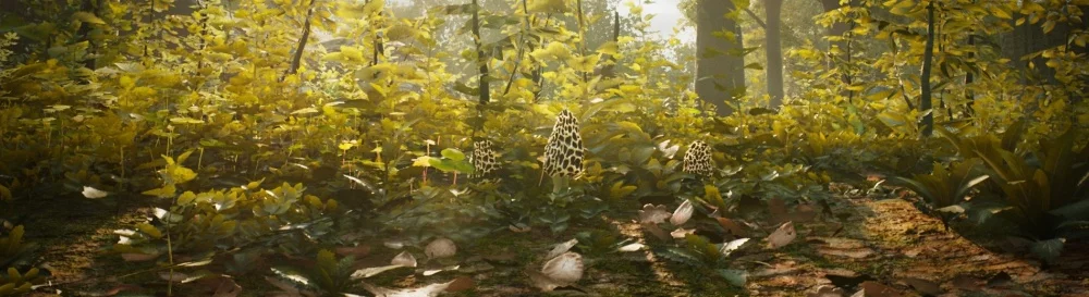 Скриншоты Morels: The Hunt - всего 42 картинки из игры