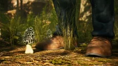 Morels: The Hunt - игра в жанре Симулятор