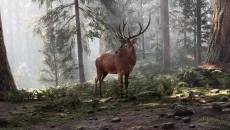 Wild Side - игра в жанре Экшен