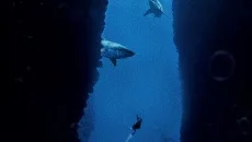 Penumbra: Requiem похожа на Penumbra: Requiem