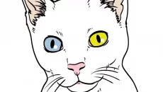 Play With Gilbert - A Small Tail похожа на Play With Gilbert - A Small Tail