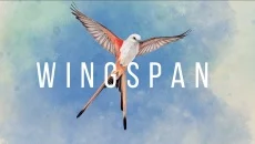 WINGSPAN - дата выхода для Mac